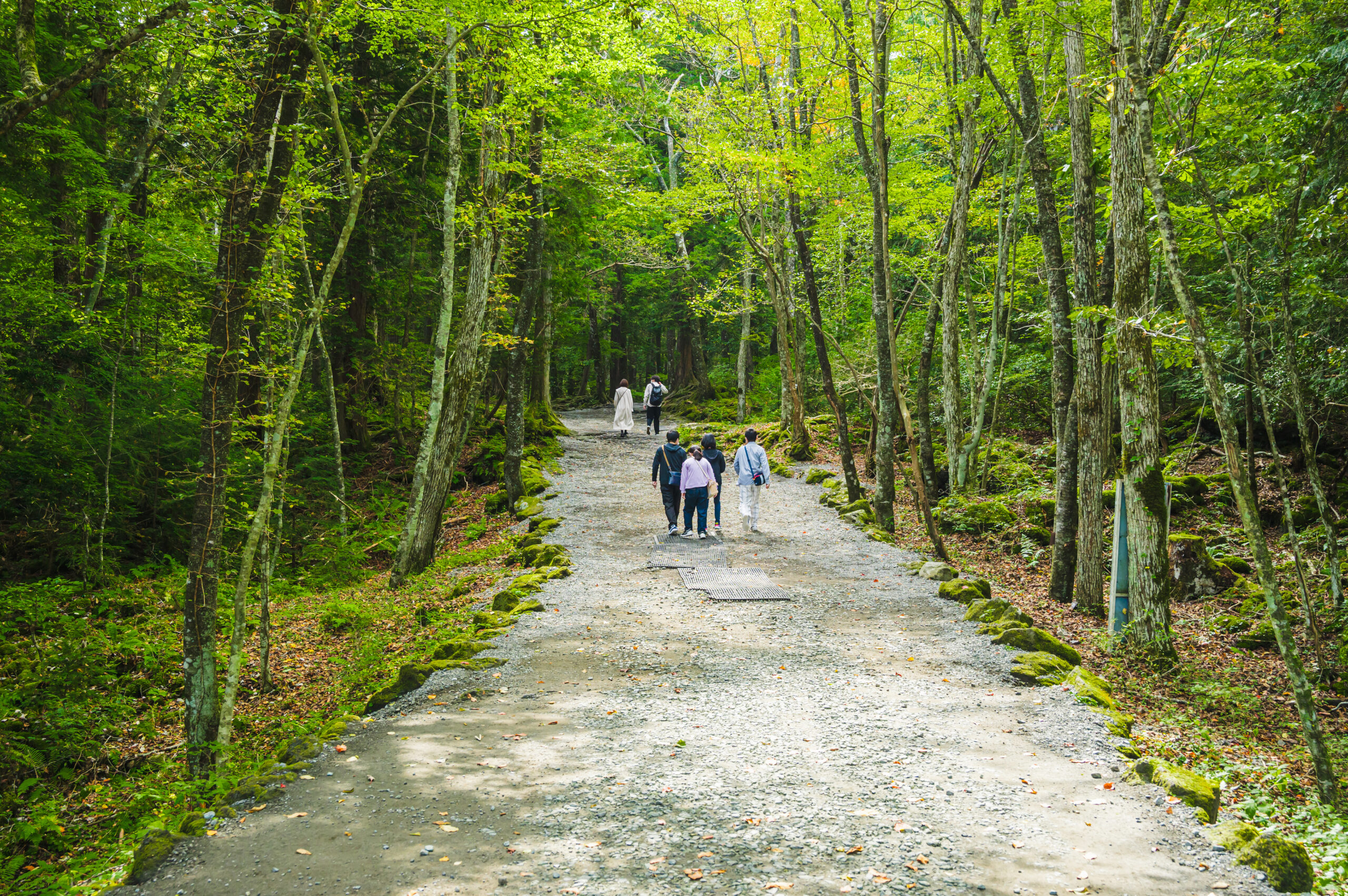 変わる世界の旅、問われる富士山麓の未来