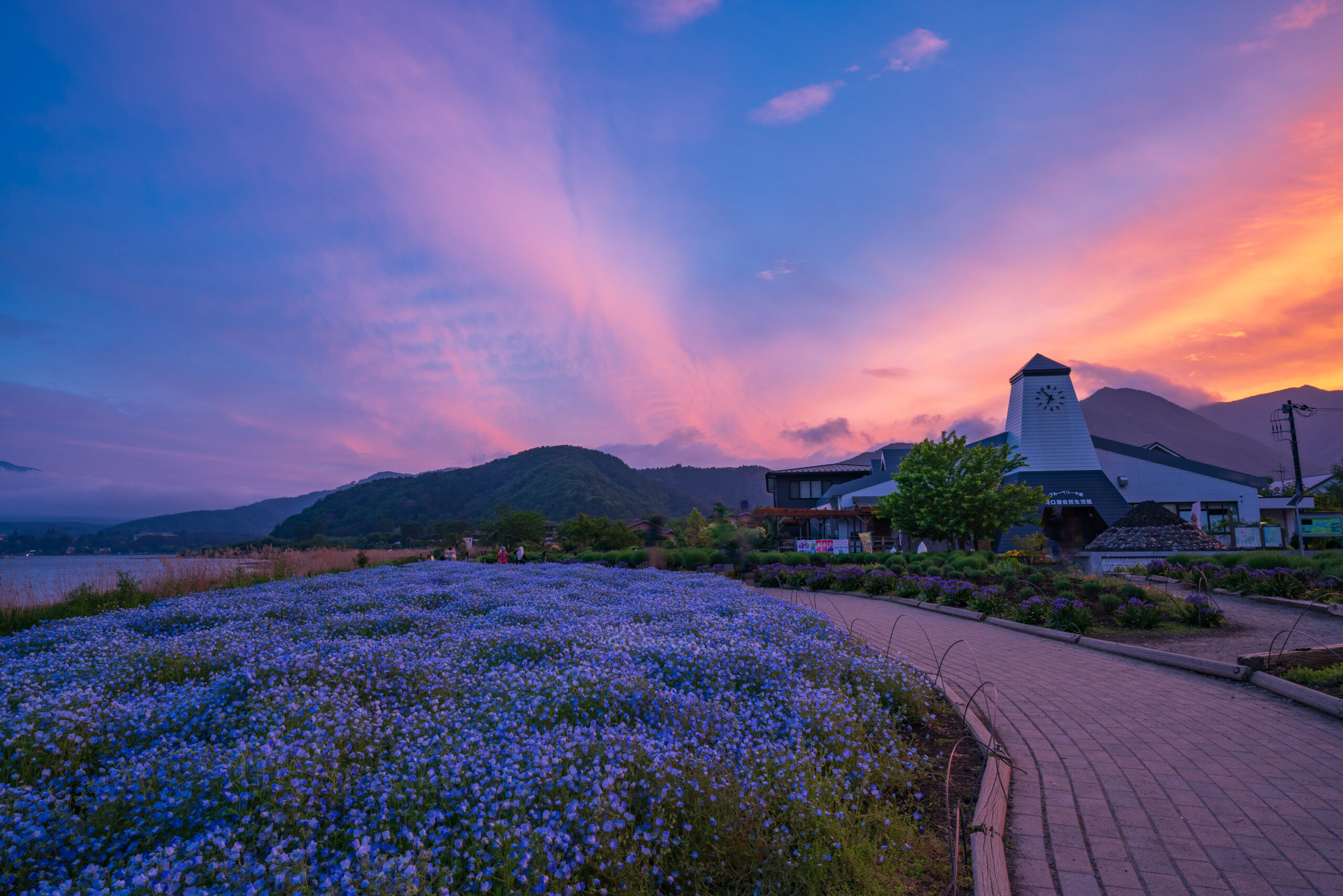 カフェとギフトで楽しむひととき｜ブルーベリーと湖の絶景で雨宿り、河口湖自然生活館