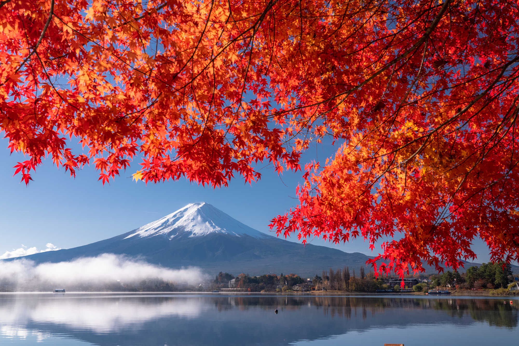 交通と観光をつなぐスマートな旅のコツ
