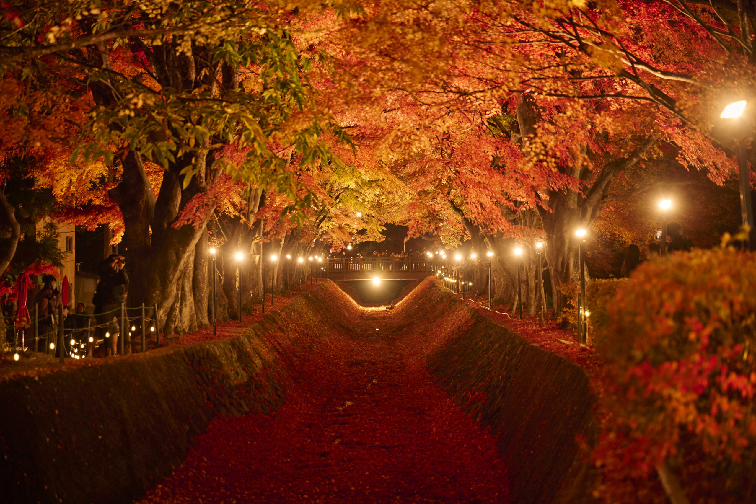 河口湖もみじ回廊