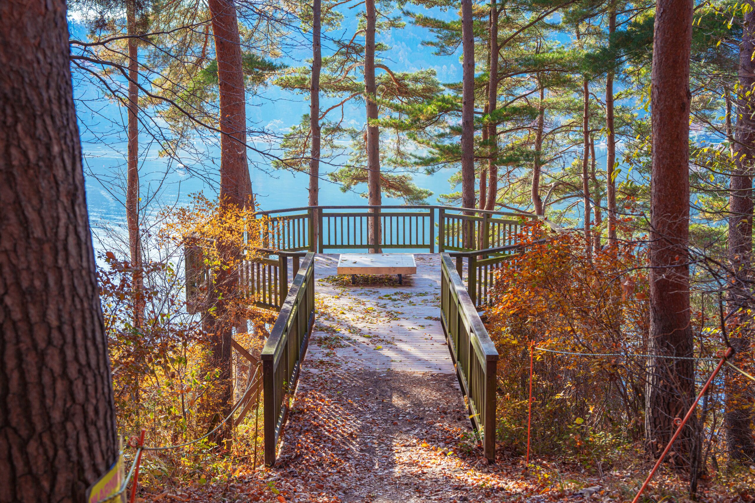 奥河口湖さくらの里公園