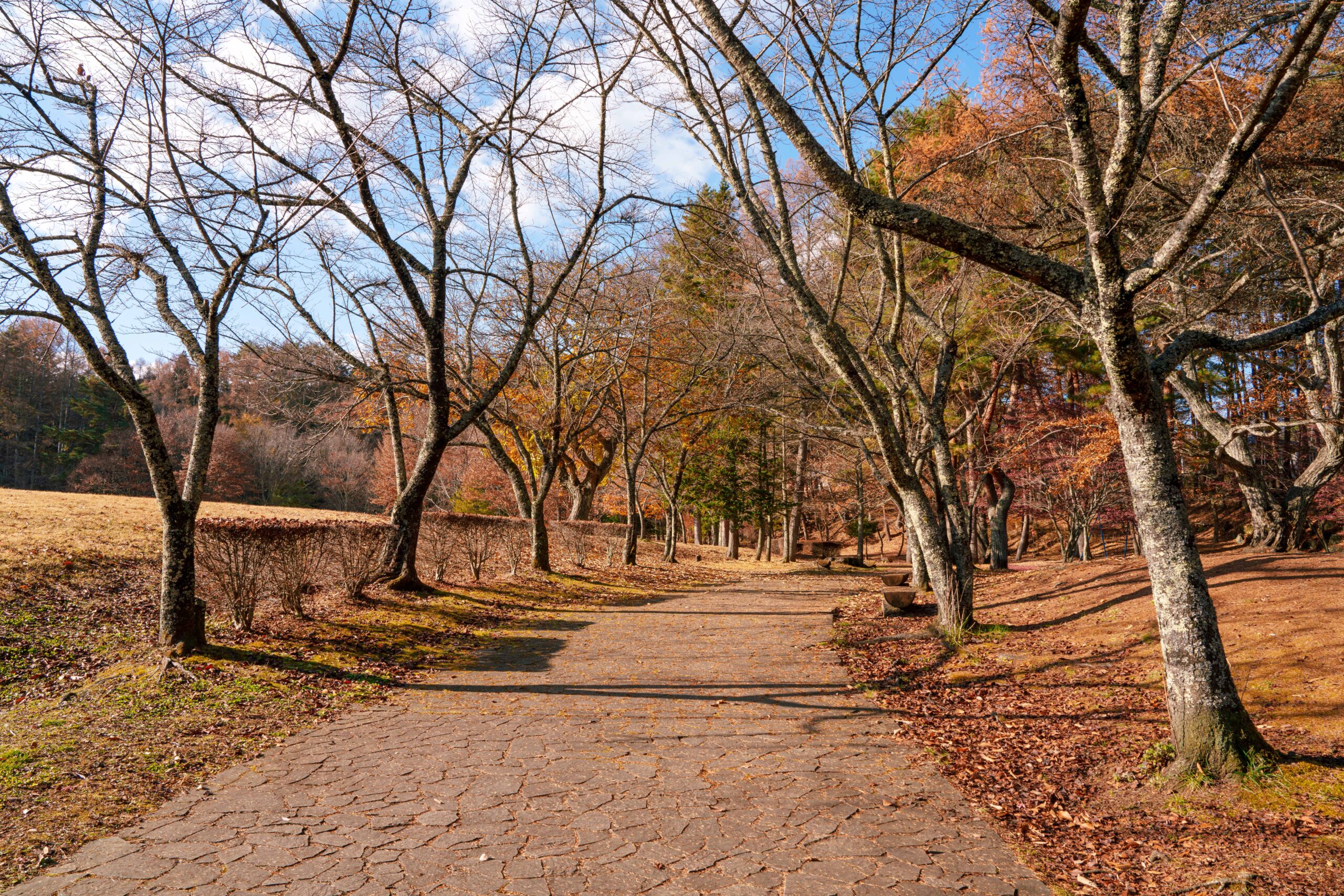 河口湖総合公園