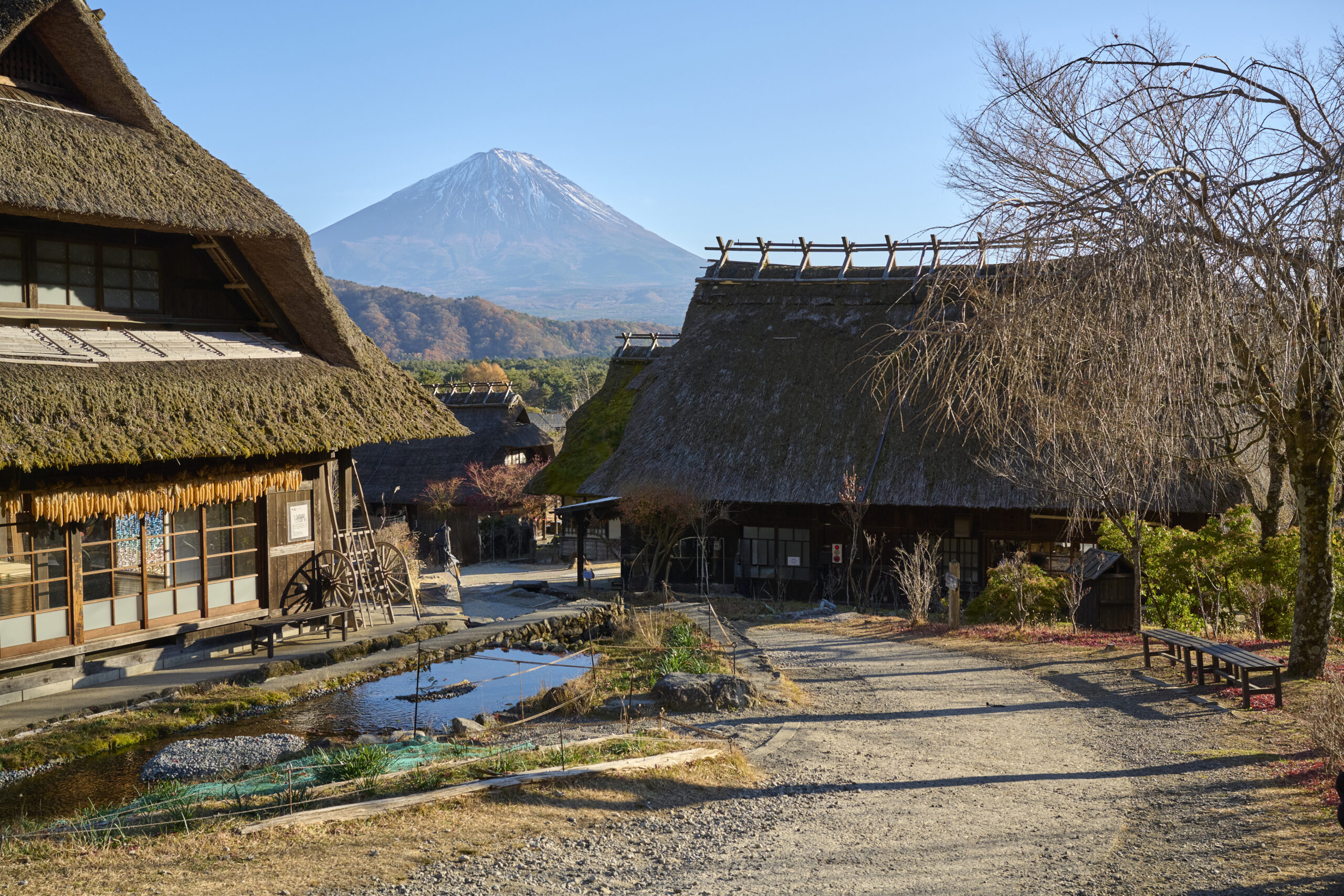 西湖いやしの里 根場