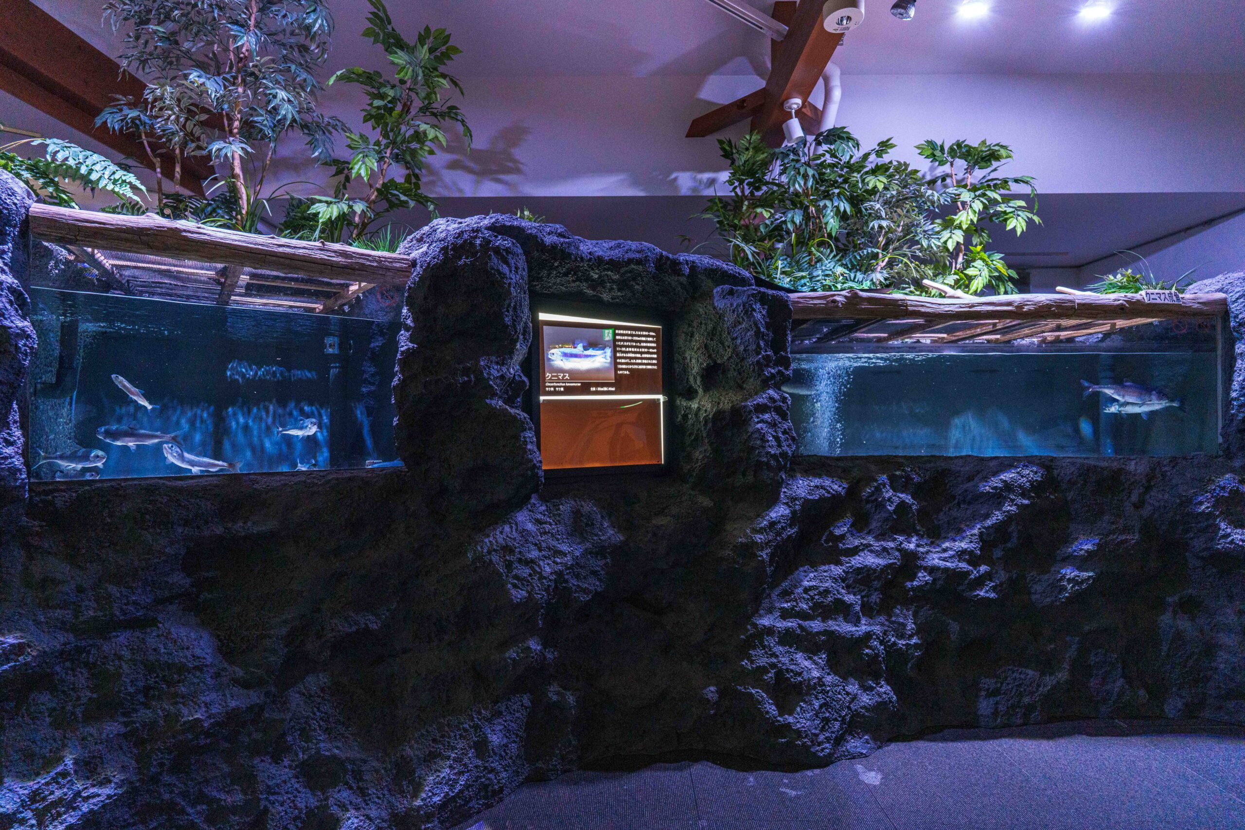 西湖ネイチャーセンター