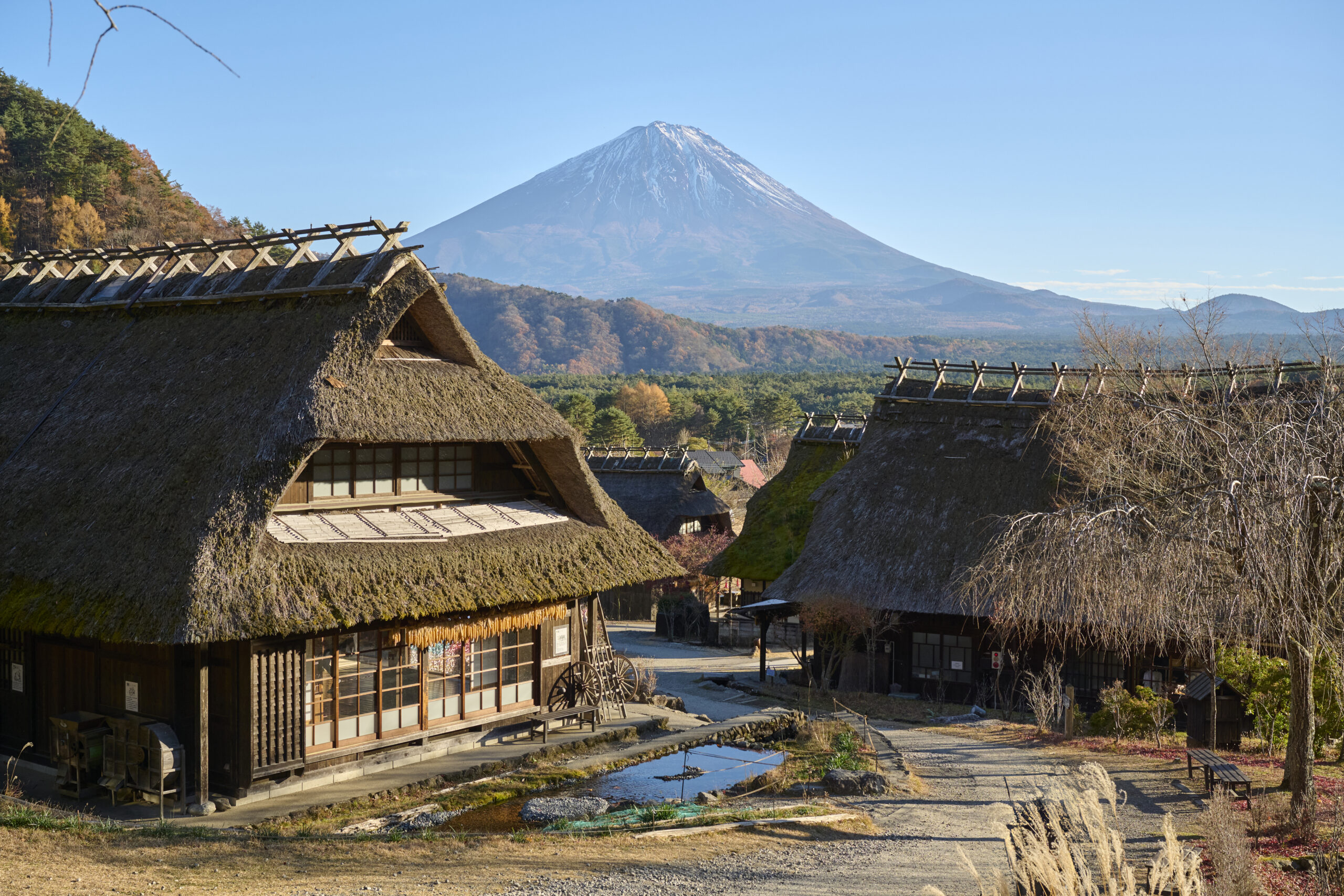 西湖いやしの里根場