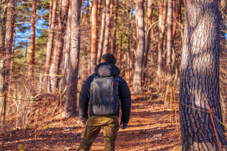 デジタルからの逃避 大自然デジタルデトックス旅