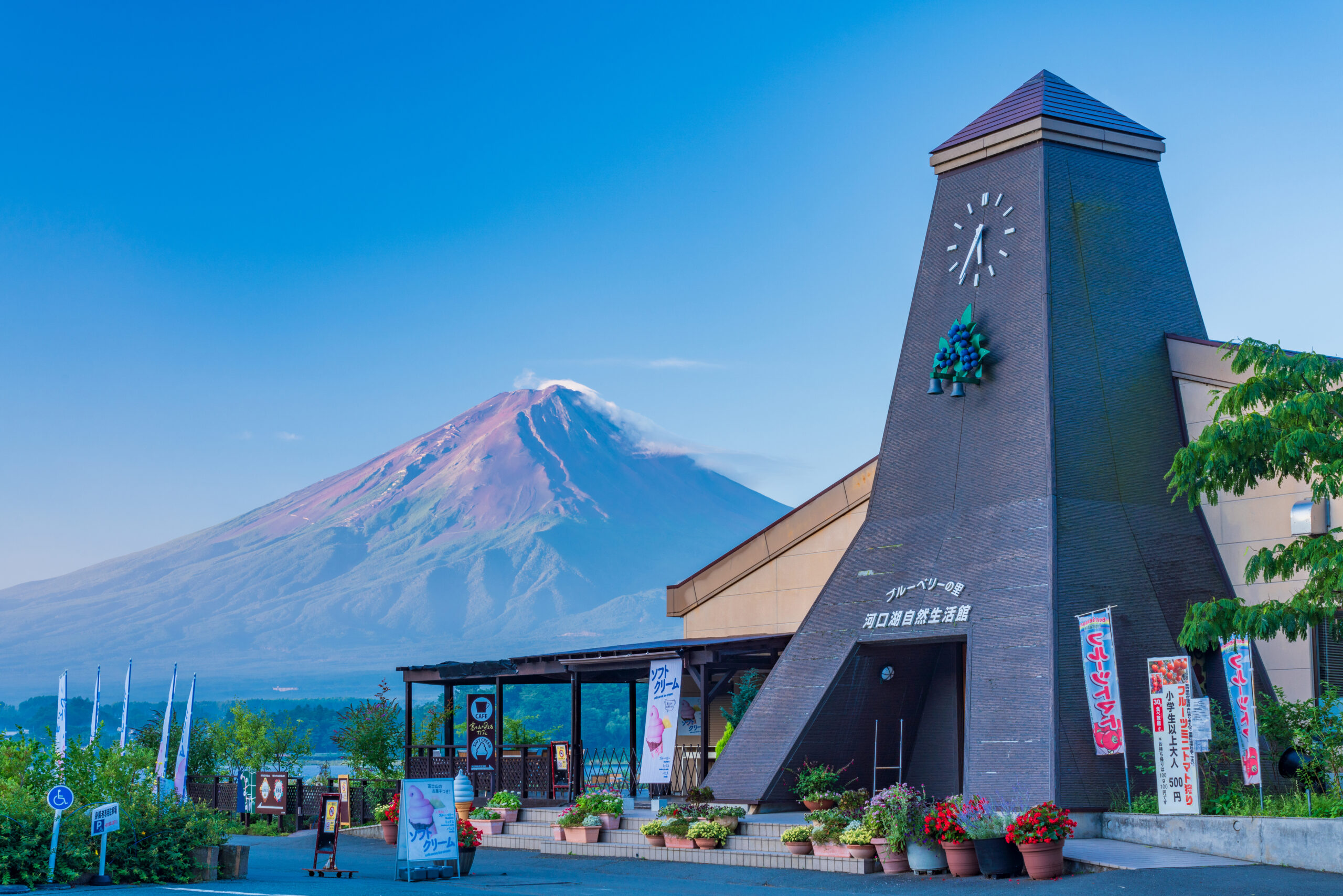 富士山の恵みが育む ― 富士河口湖町の食文化
